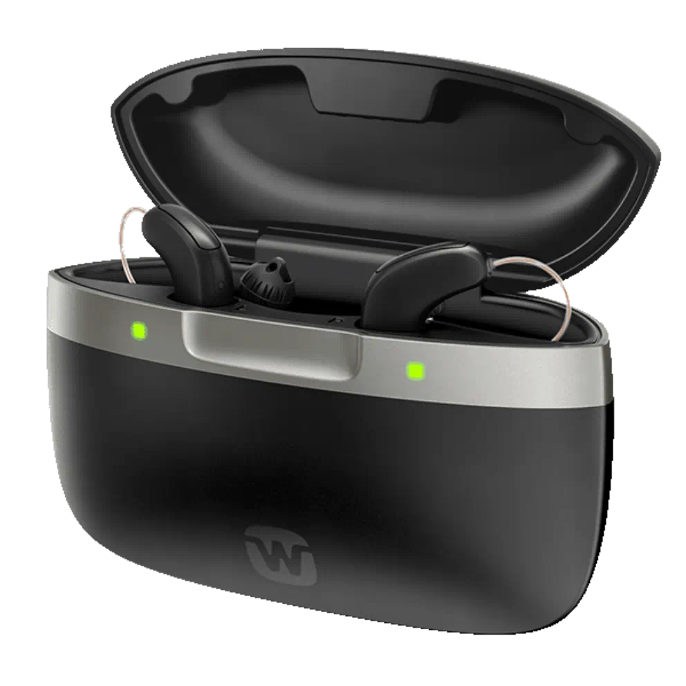 Widex SmartRIC Charger